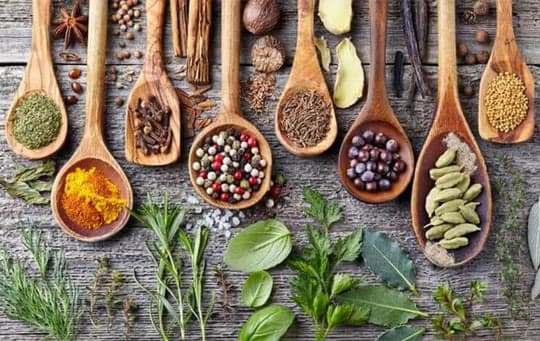 Wellness Product Catalog background